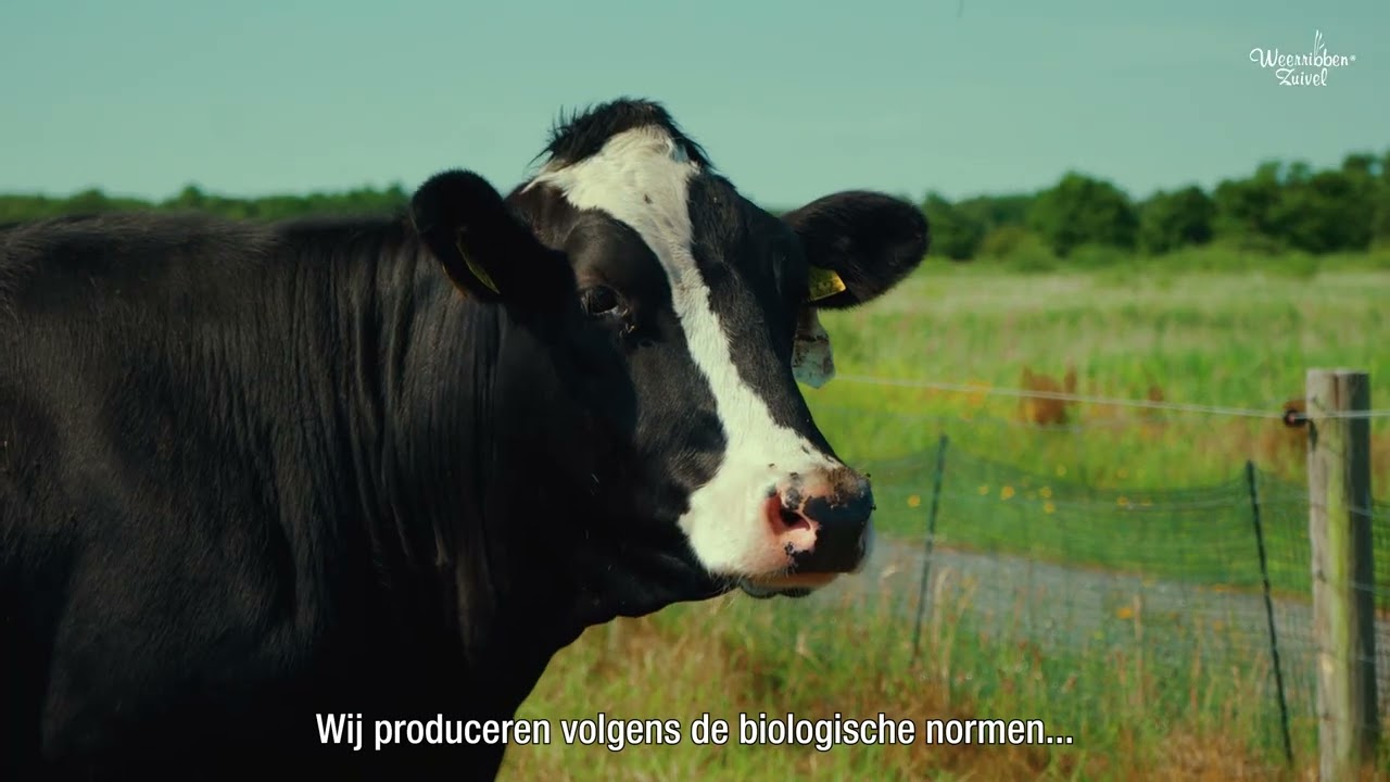Klaas wil je graag zijn bedrijf laten zien 🐄🥛