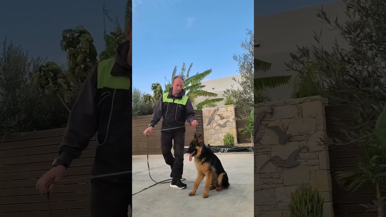 Video 5