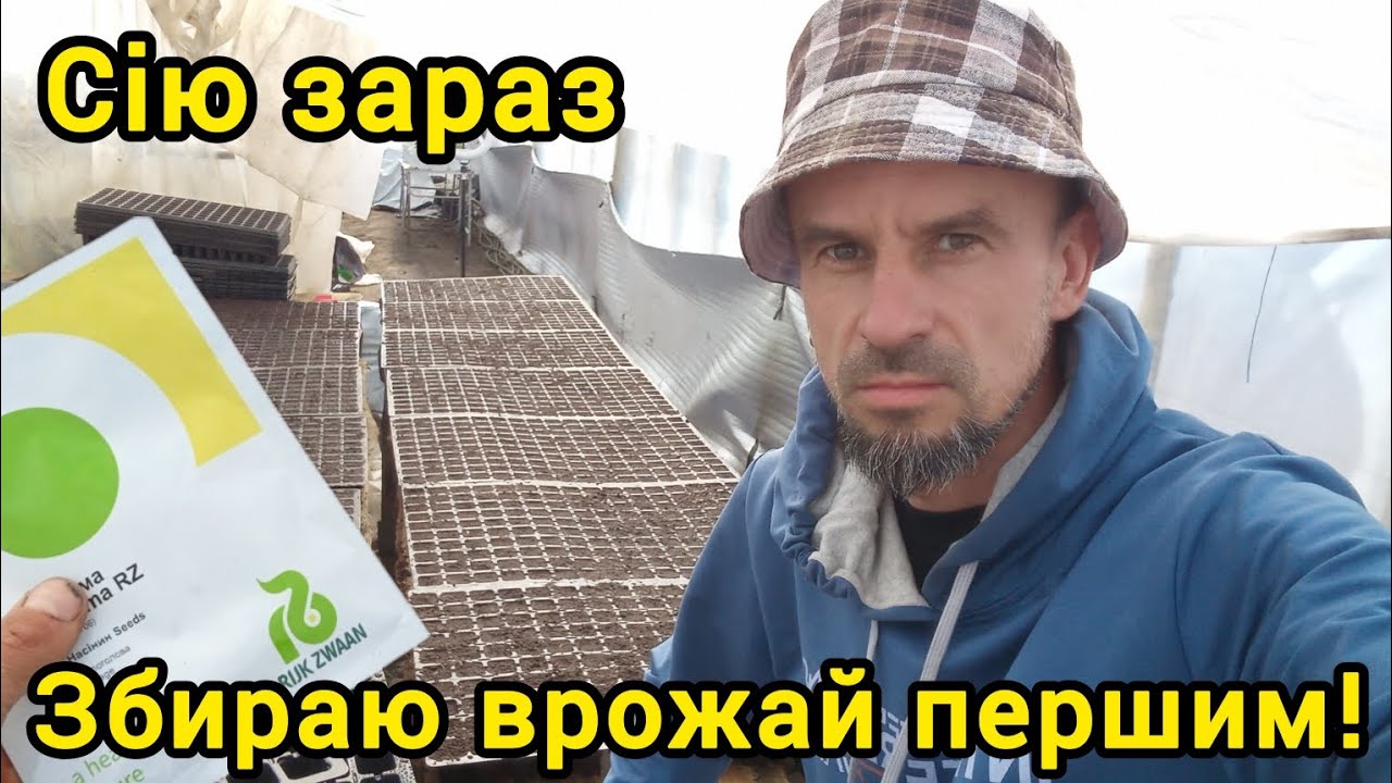Сіємо ранню капусту. Мій метод у касети! 