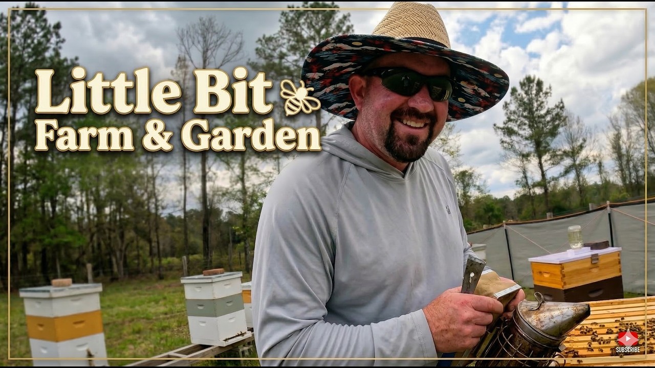 Spring Hive & Garden Update: Are the Queens Here? 🐝🌱