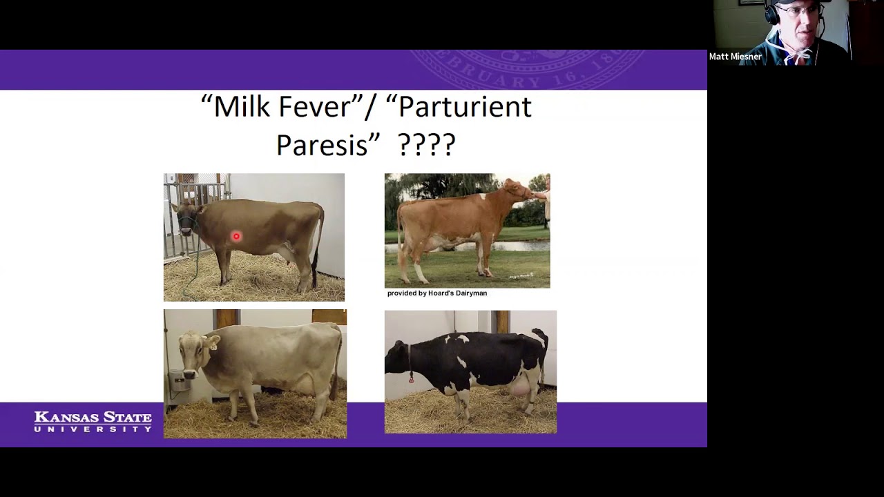 Vet Med Lecture: 