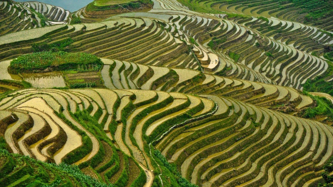 Guilin & Anji (Bamboo Factory) FANNA 