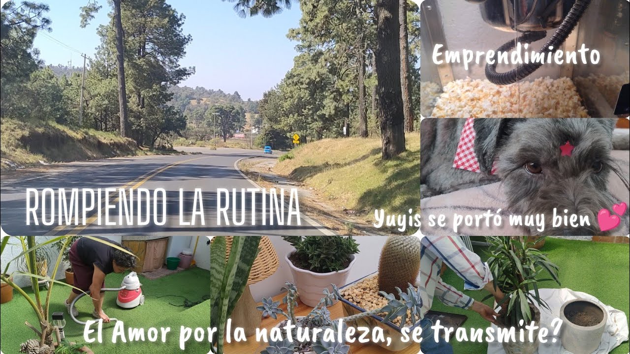 ROMPIENDO LA RUTINA/ EMPRENDIMIENTOS/ AMOR POR LA NATURALEZA 🪴 AMA DE CASA✨