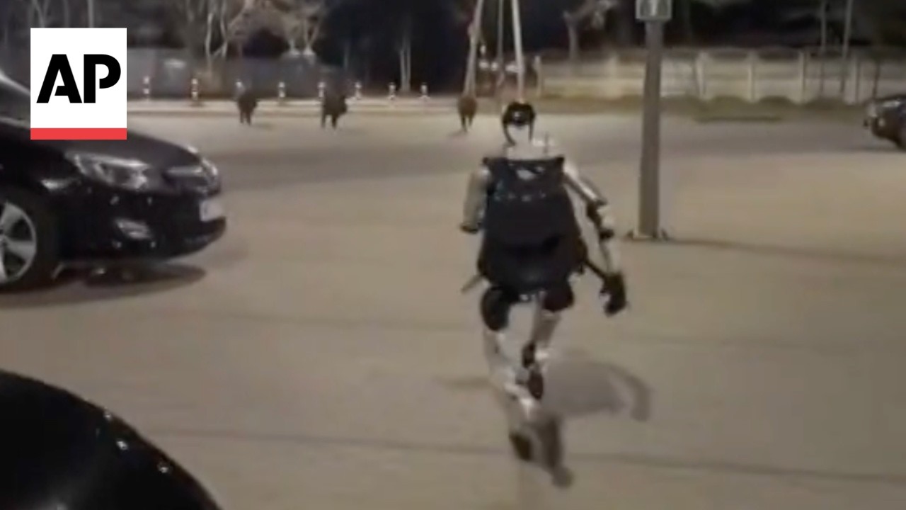 Viral video shows a humanoid robot chasing wild boars in Poland