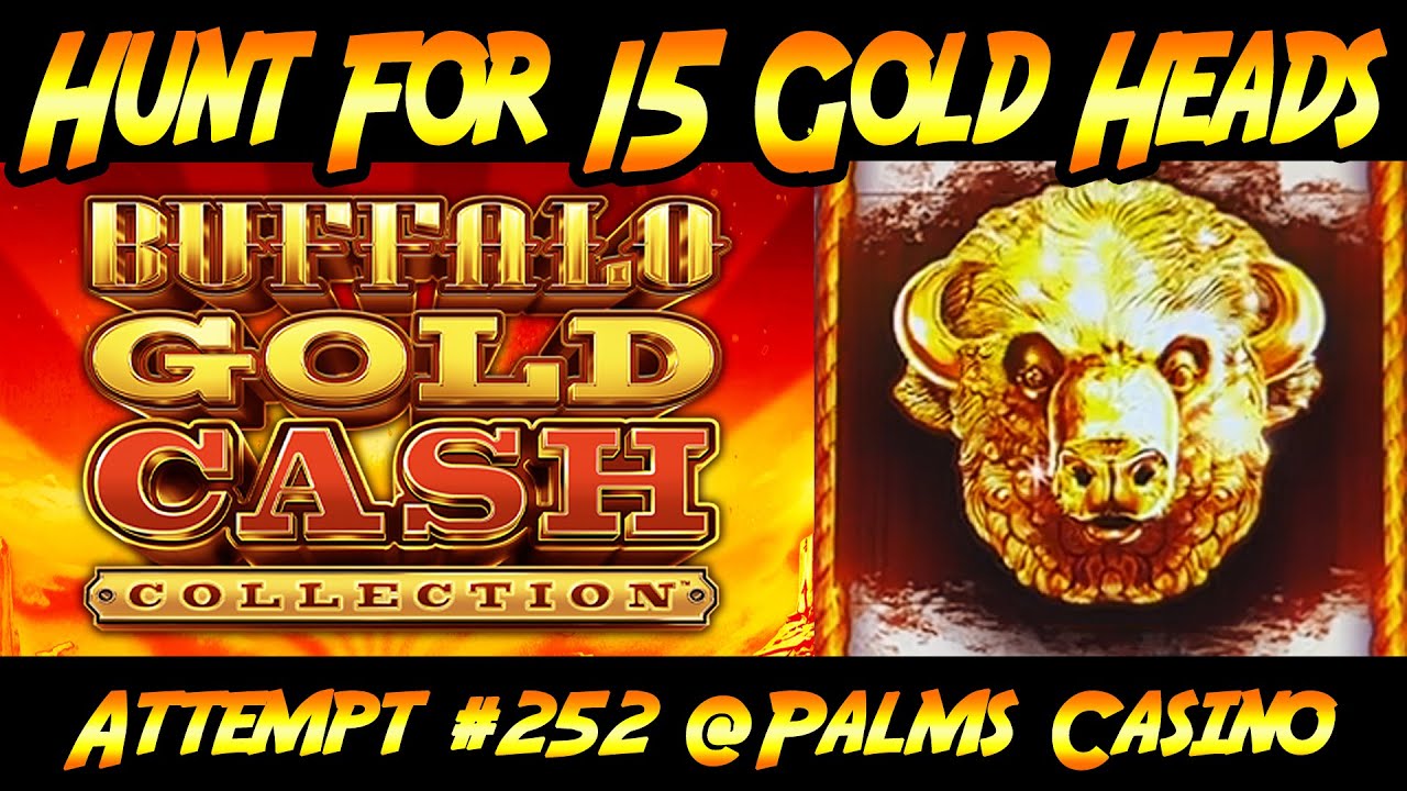 Hunt for 15 Gold Heads Ep. #252, Buffalo Gold Cash Collection from the Palms Casino in Las Vegas!