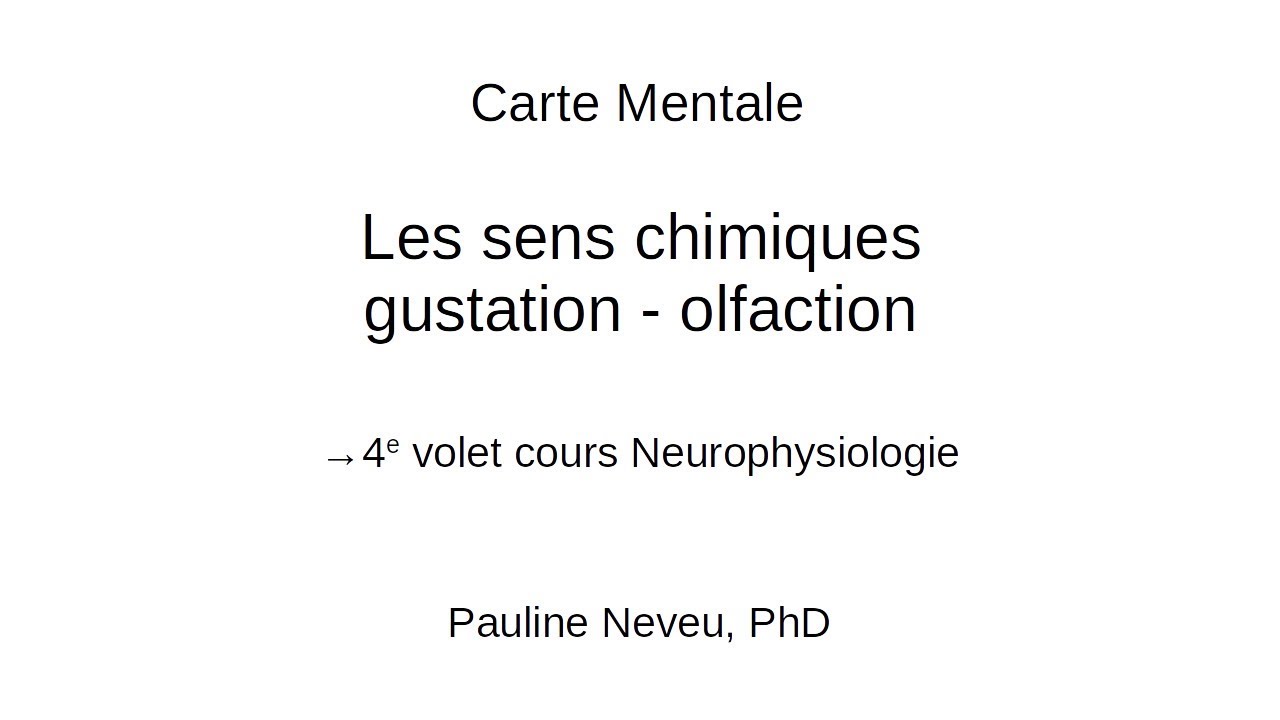 Neurophysiologie &ndash; carte mentale 021 &ndash; Sens chimiques: gustation - olfaction &ndash; Dr Pauline Neveu