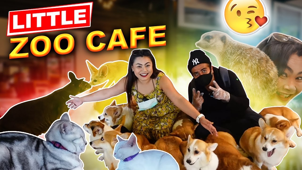 Little Zoo Cafe Bangkok