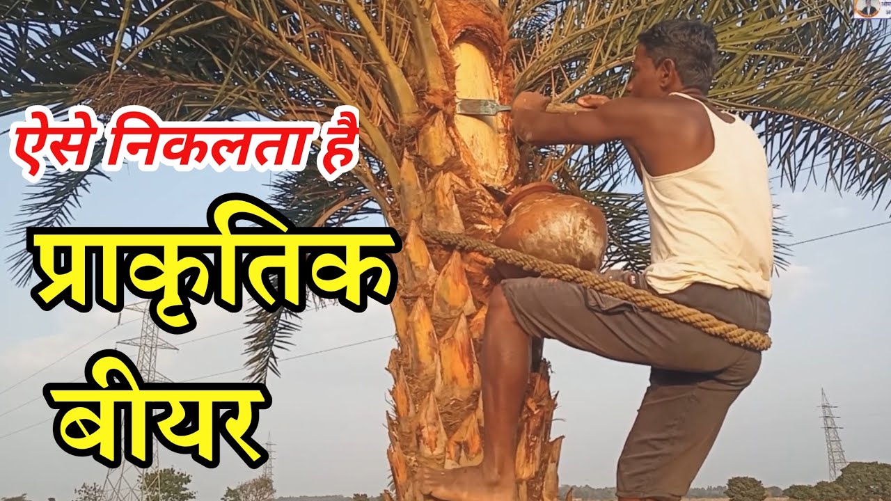 Tadi Kaise Nikalta Hai? 