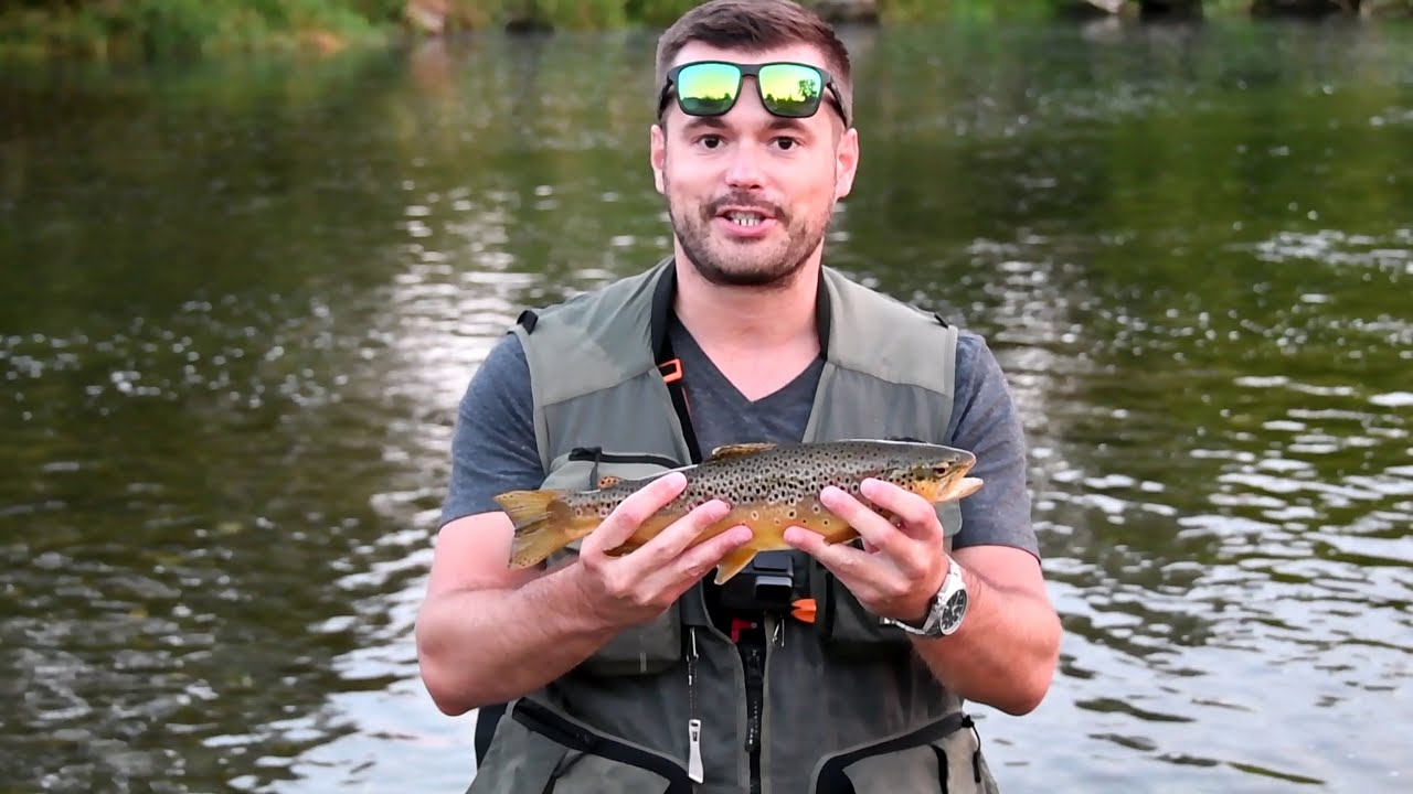 Trout and Chub fishing AUSTRIA