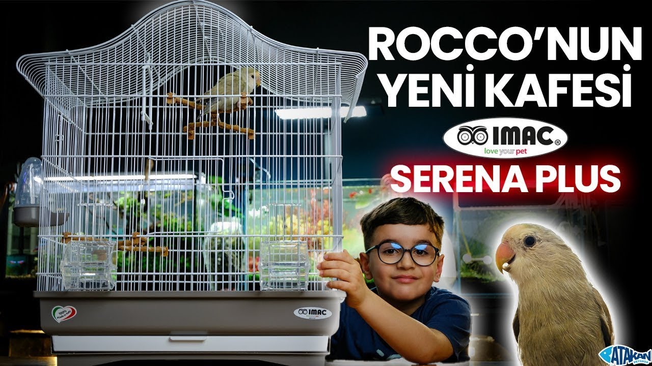 🐦 Sevda Papağanı İçin Yeni Kafes Aldık! Pars ile Kutu Açılımı 🎁 | Papağan Güncellemesi