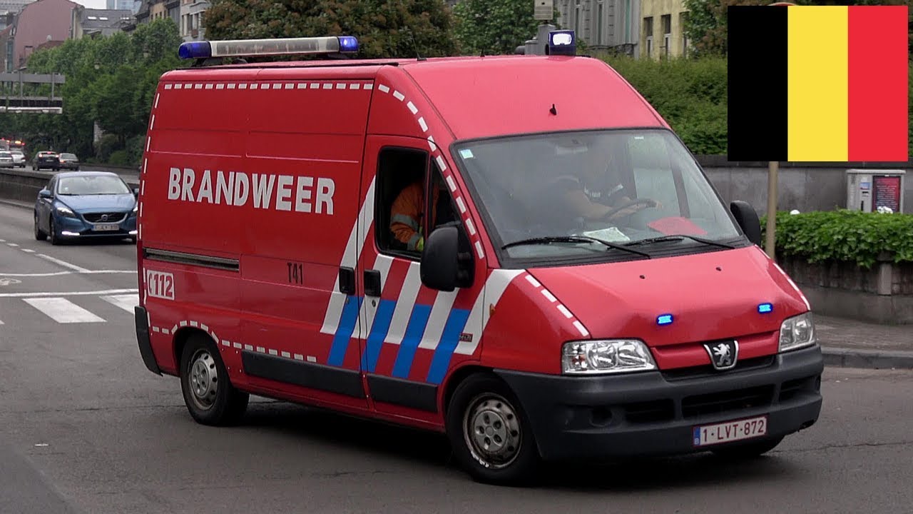 Rescue Prio1 T41 Insect - Animal Intervention Unit Responding [Brussel]