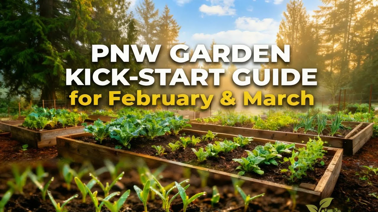 Pacific Northwest Garden: February and March Lunch Guide