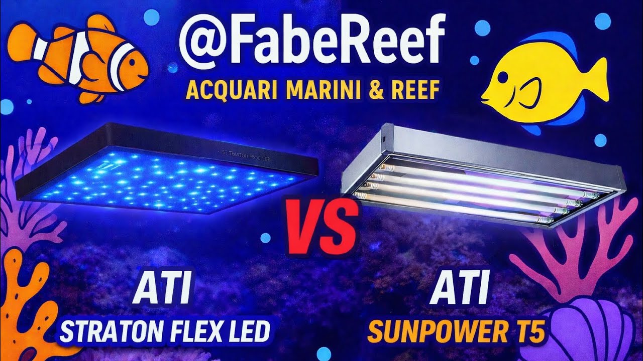 La battaglia delle plafoniere: ATI Straton Flex LED vs Sunpower T5