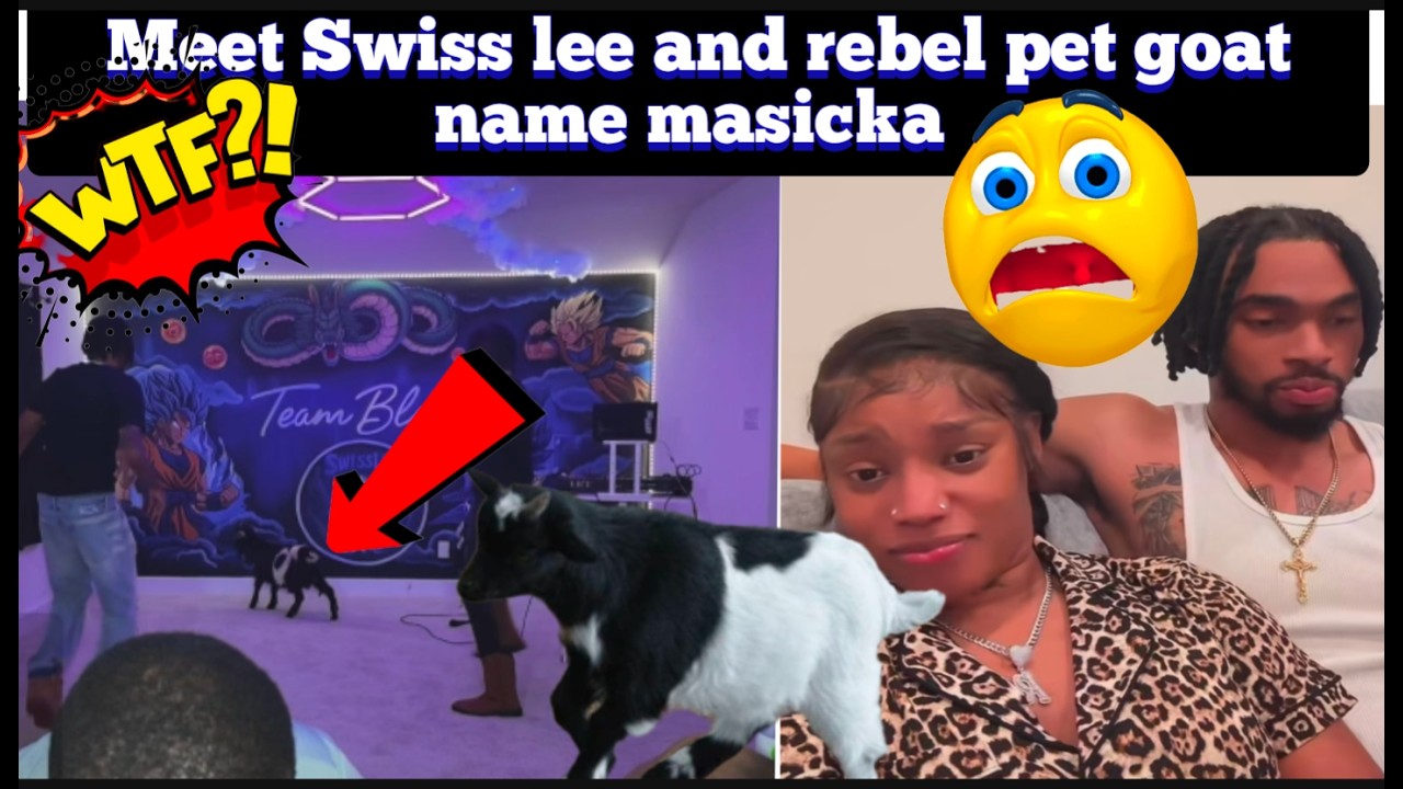 Swiss lee & rebel pet goat name masicka, mavado wyfl riddim will popcaan be on vybz kartel album?