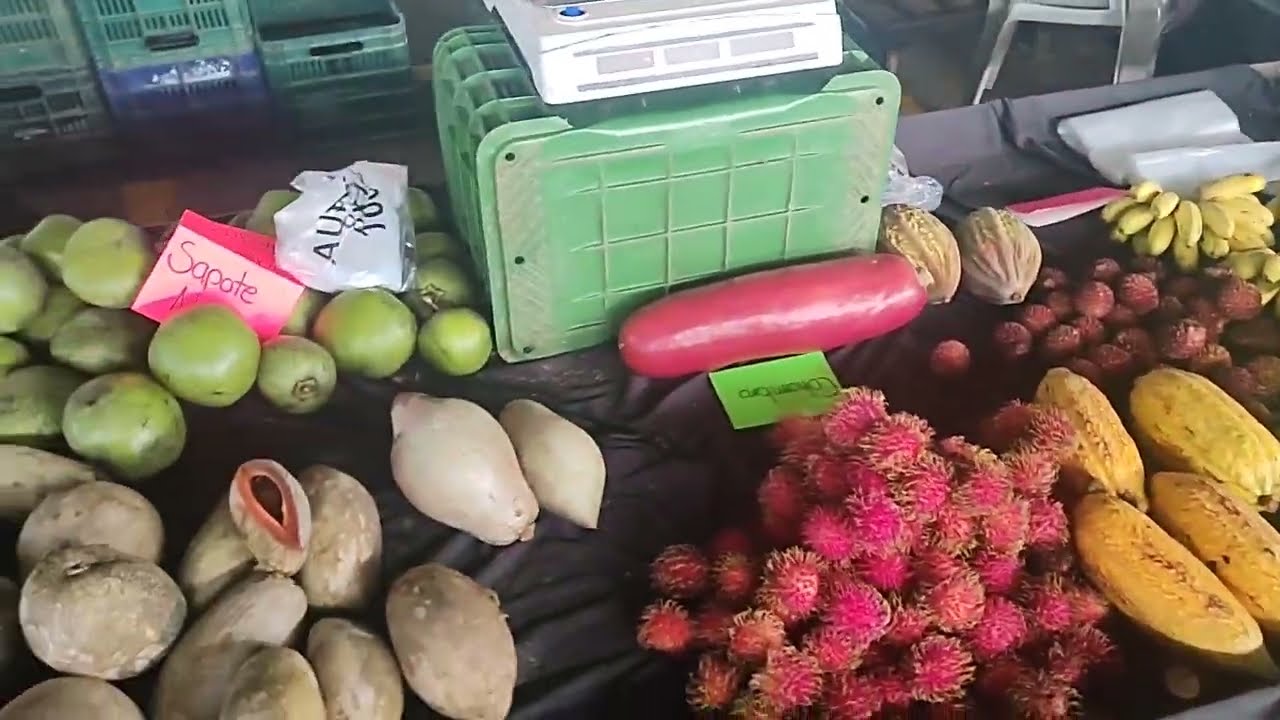 Feria del Agricultor en Pérez Zeledón, Costa Rica (version diurna) 