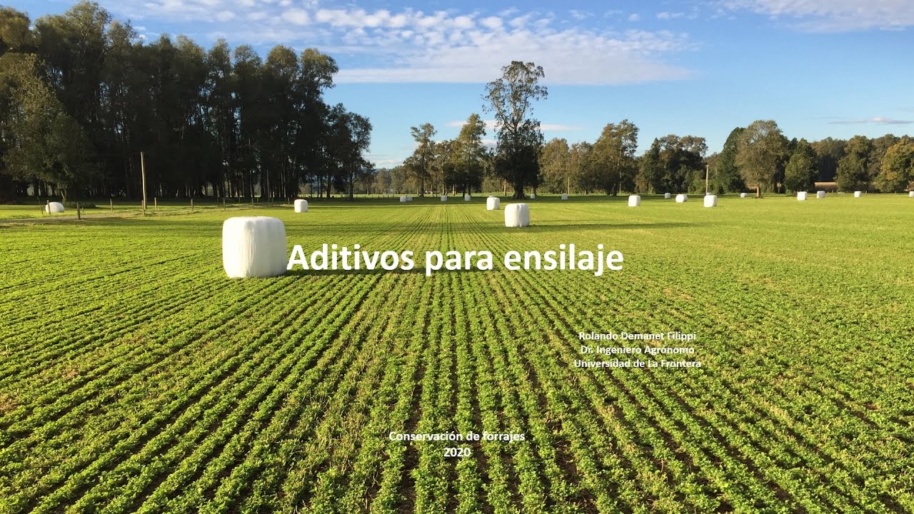 Aditivos en ensilajes