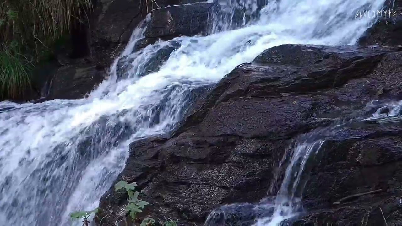 Vistas en la Cascada 