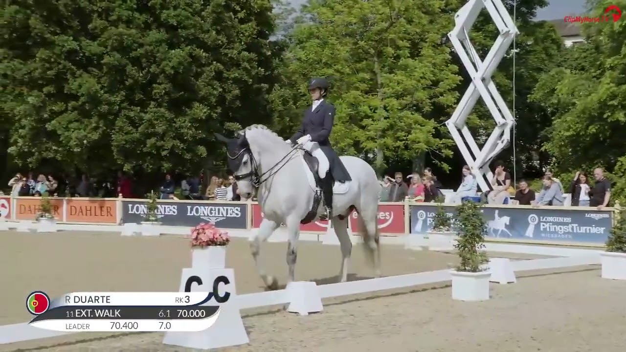 CDI4* Wiesbaden: Grand Prix de Dressage qualificação para o Grand Prix Special. Vídeo ClipMyHorse