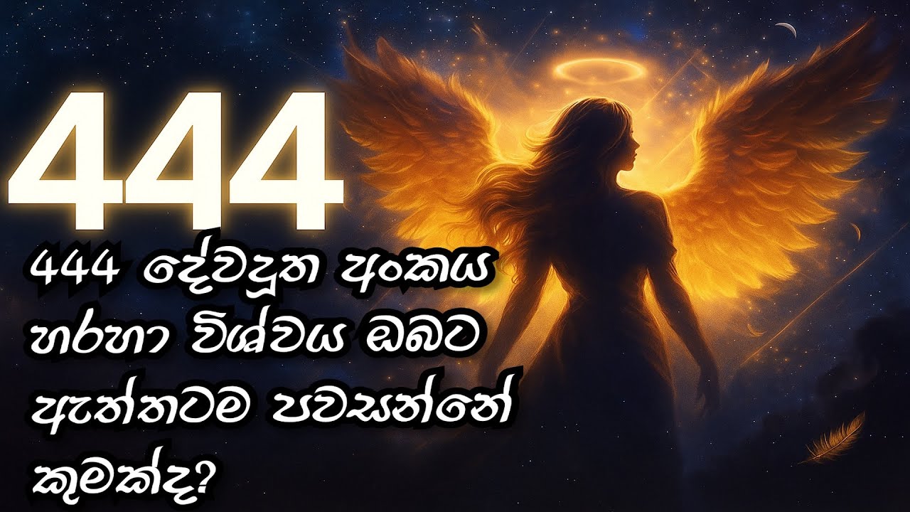 ඔබ 444 නොකඩවා දකින්නේ ඇයි: පණිවිඩ, අර්ථය සහ ප්‍රකාශනය | 444 Angel Number Meaning Sinhala