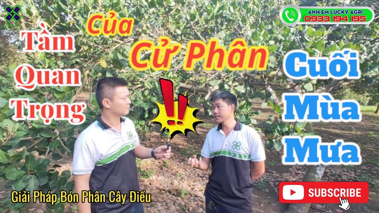 Bỏ Phân Cuối Mùa Mưa | Tuyệt Chiêu Để Có Vụ Mùa Bội Thu cùng Anh Em Lucky