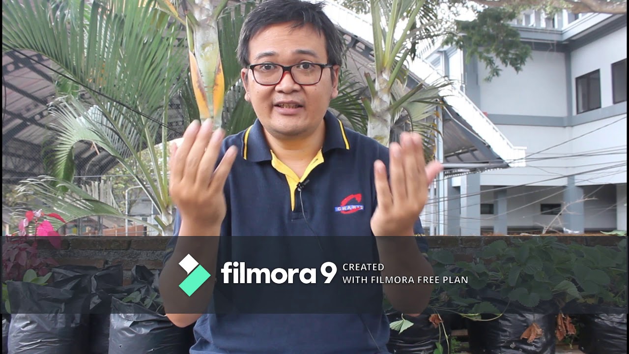 Materi Pelajaran Musik TK A
