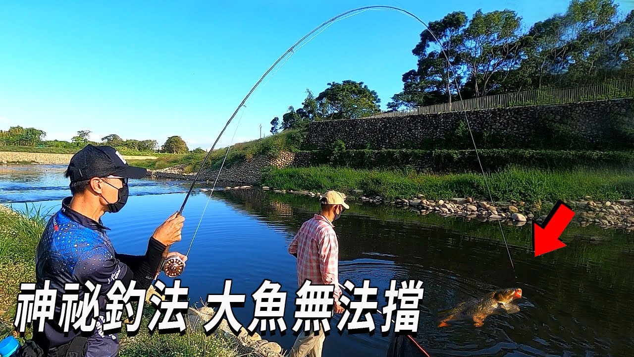 流傳了20年釣魚方法! 新手也能簡單上大魚 舒服私房點 老街溪釣遊 How to catch carp on FLY@Nature_FlyFishing【漁樂爽報】EP99 #钓鱼 #中壢