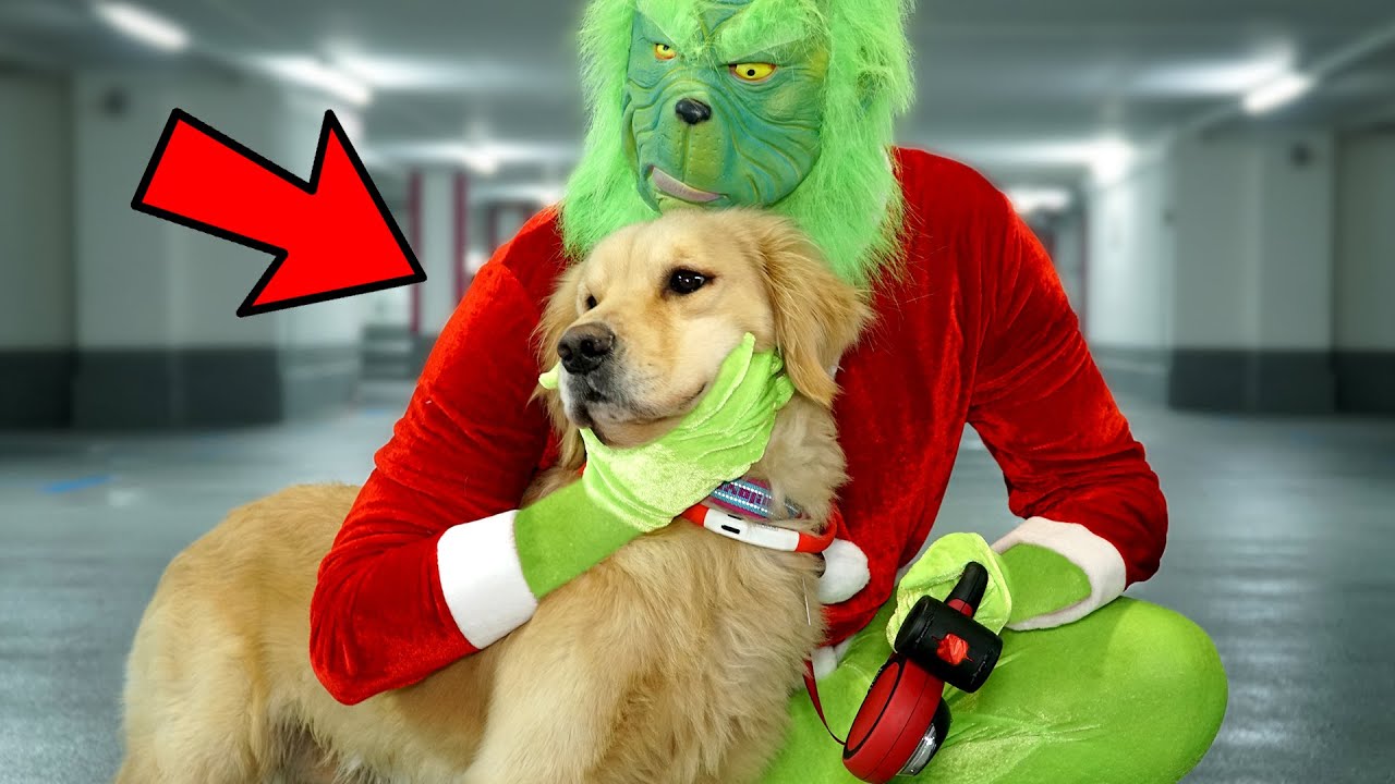 GRINCH ENTFÜHRT UNSEREN HUND LUCKY !!!