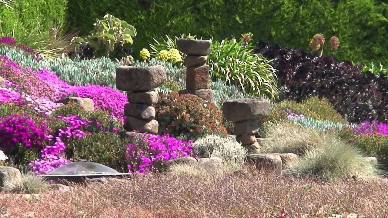 Simply Stunning Spring Succulents