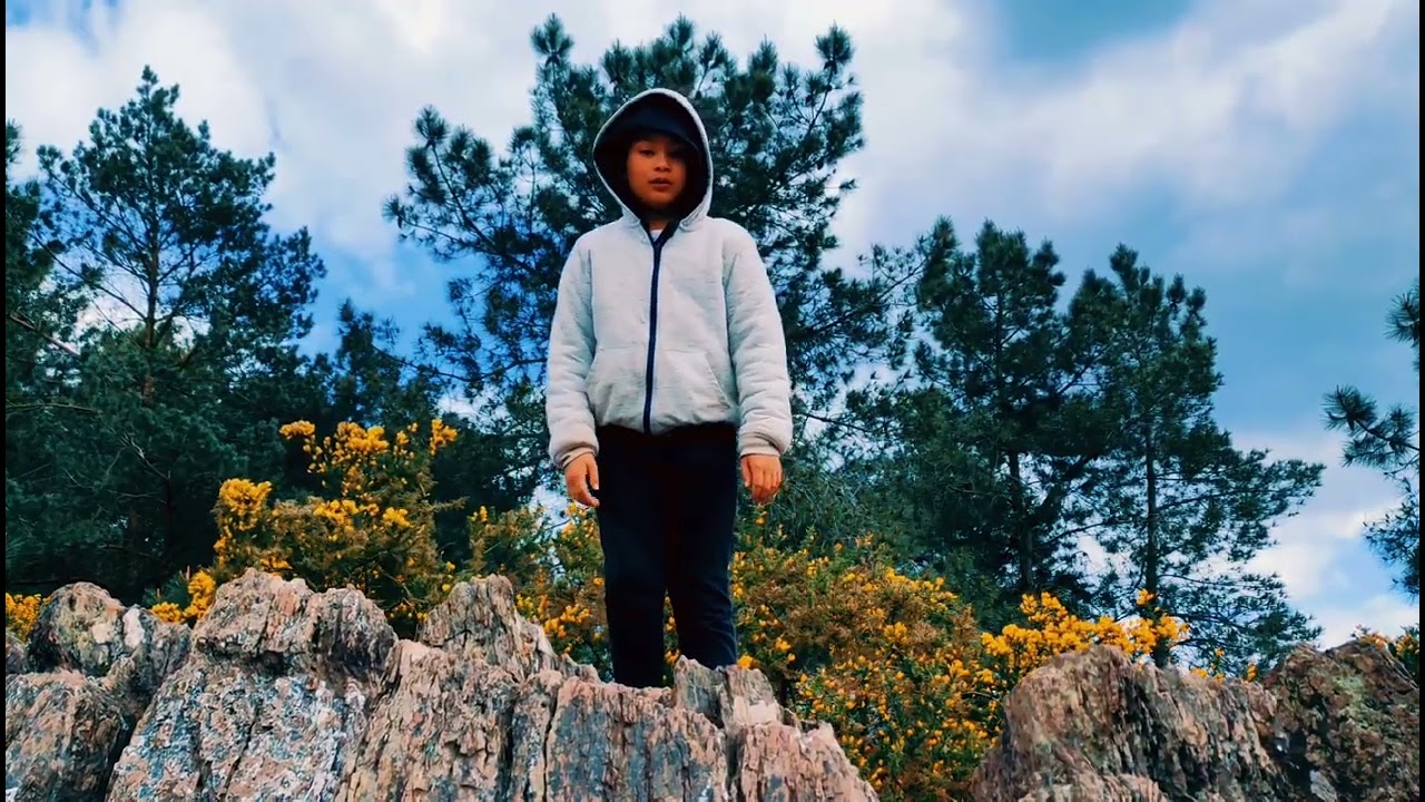 Le Val sans Retour, for&ecirc;t de Broc&eacute;liande