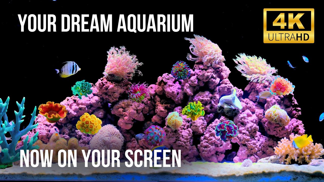 🐠 Завораживающий аквариум в 4K с настоящими звуками воды | Расслабляющий коралловый риф и тропичес..
