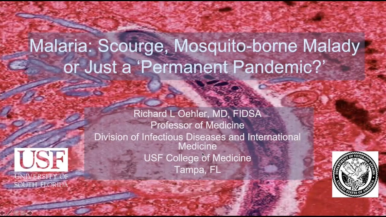 Malaria: Scourge, Mosquito-borne Malady or just a Permanent Pandemic -- Richard L. Oehler, MD