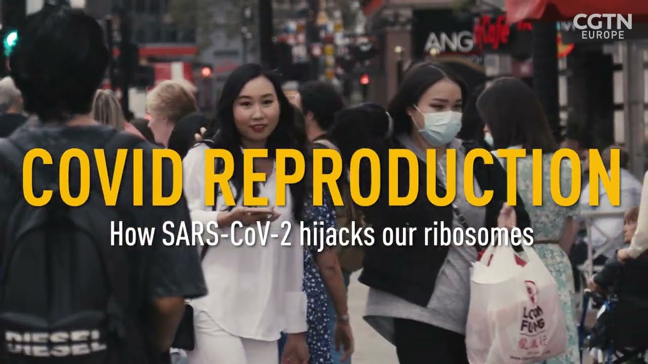 How does COVID-19 replicate?