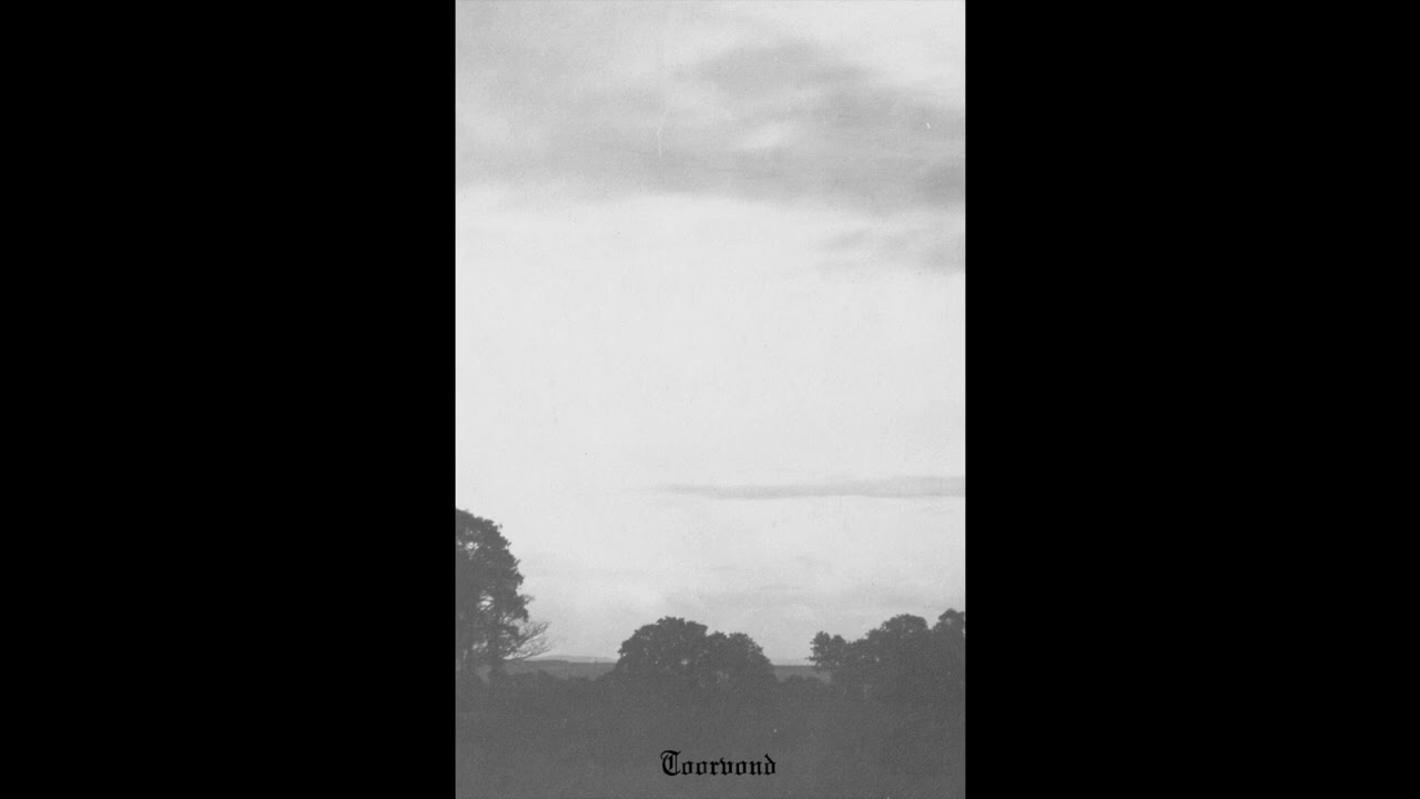 Toorvond 