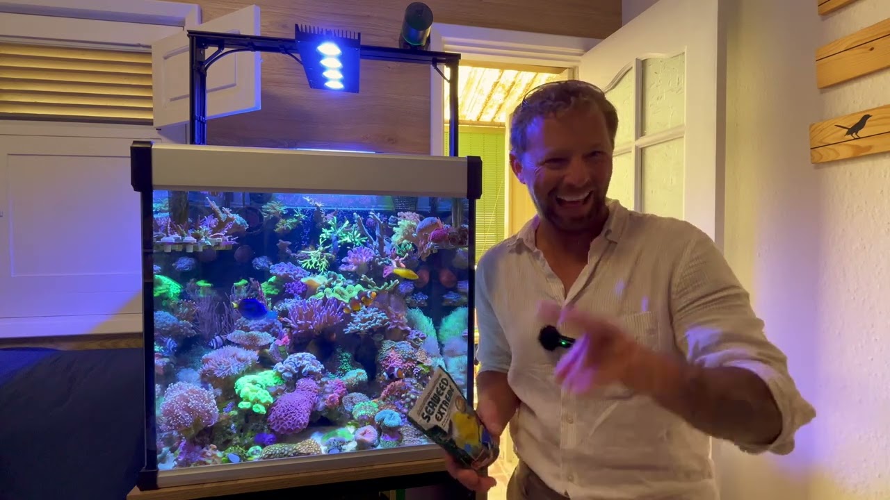Edgar Reef Cubo - Acuario marino Increible bonito!