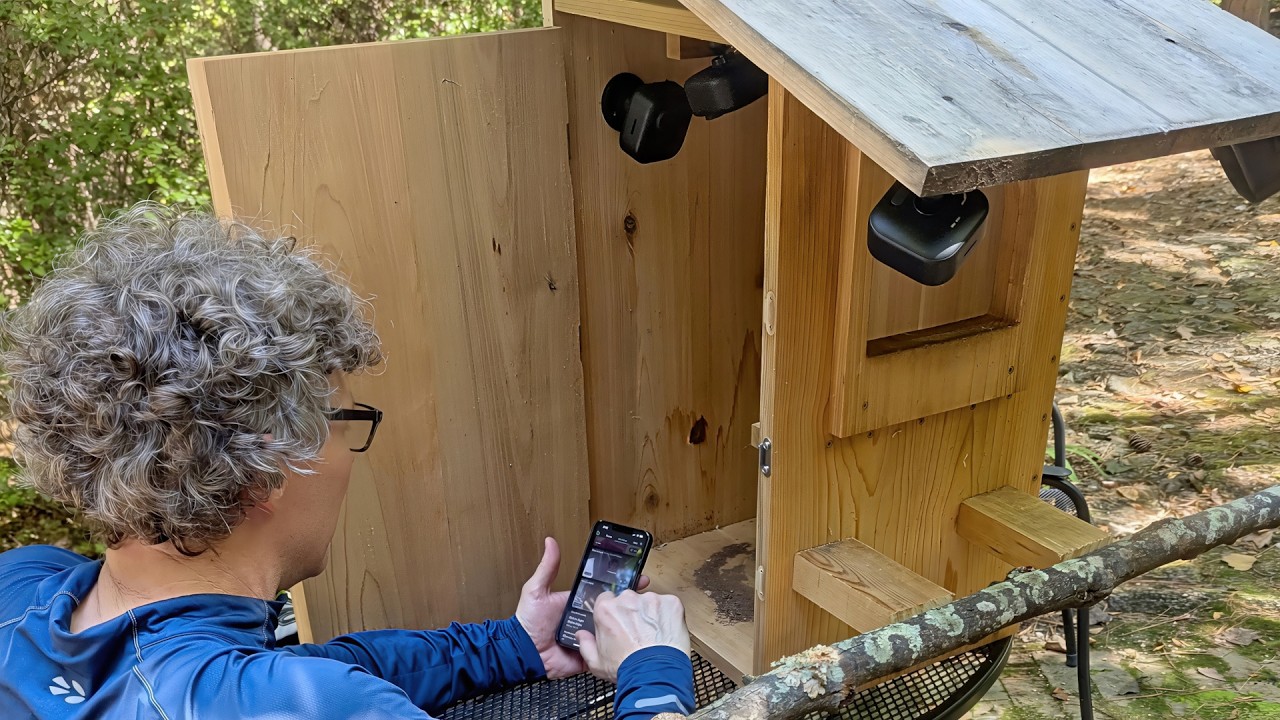 We Added a Perch to the Barred Owl Nest Box