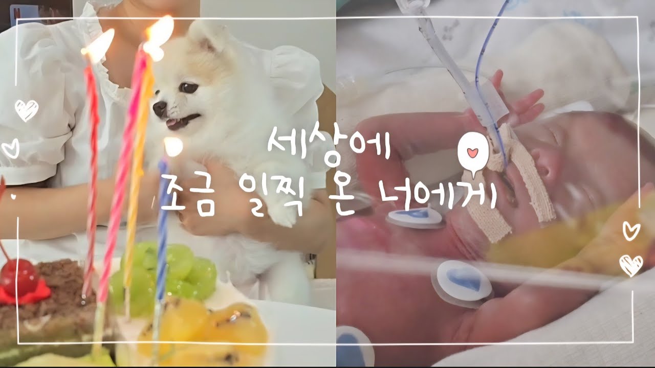 니큐일기 | 25주 550g, 그렇게 우리 아기가 태어났어요. | NICU 아기, 이른둥이
