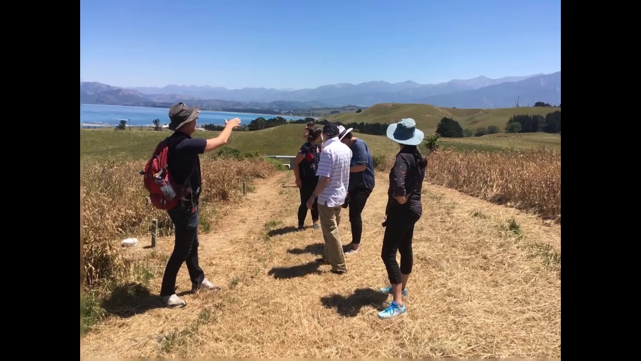 Trip to Kaikoura - Friday 8th Dec 2017
