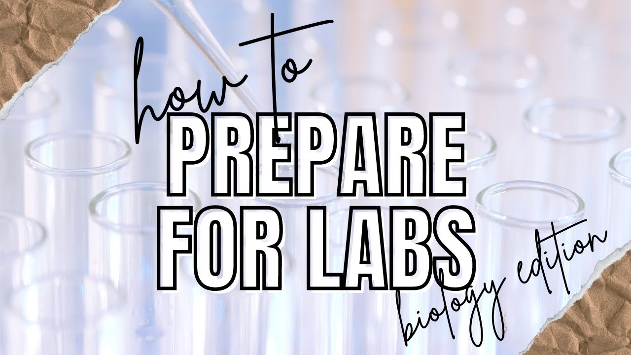 How I Prepare for My Biology Labs In University
