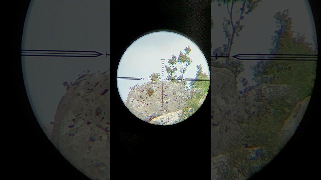 SHOOTING FROM 100 METERS WITH FACTOR SNIPER L #longrangeshooting #airrifleshooting #airgunshooting