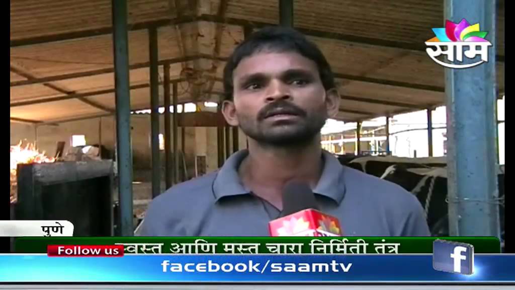Uttam Machale's dairy and hydroponics technology success story