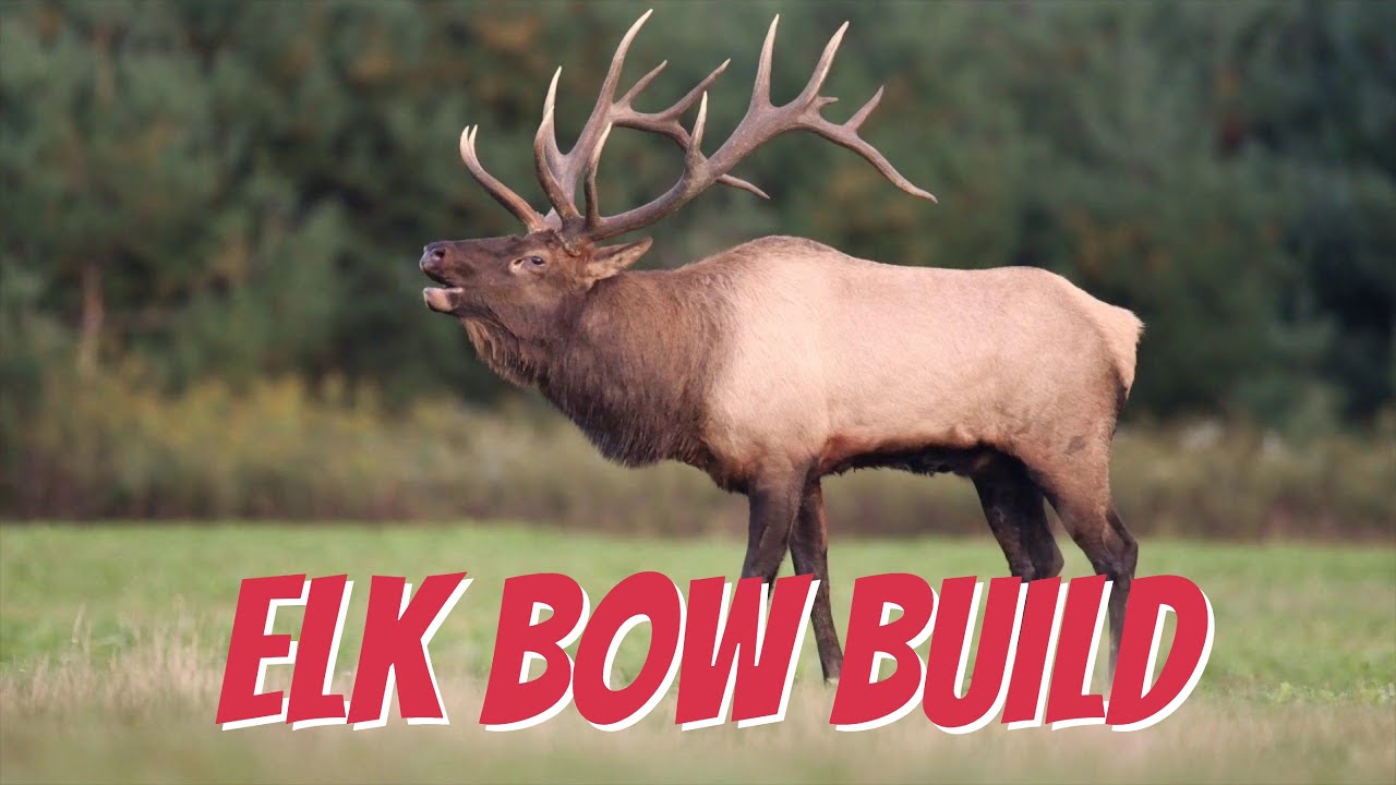 PRIME NEXUS 4 -- ELK BOW BUILD