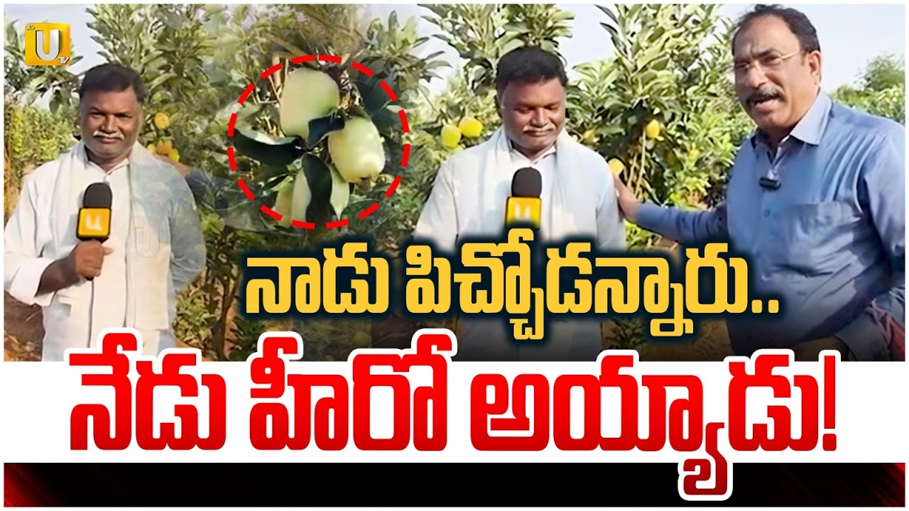 Apple Farming in Anantapur District : నాడు పిచ్చోడన్నారు..నేడు హీరో అయ్యాడు! | Farmer Ramanareddy |