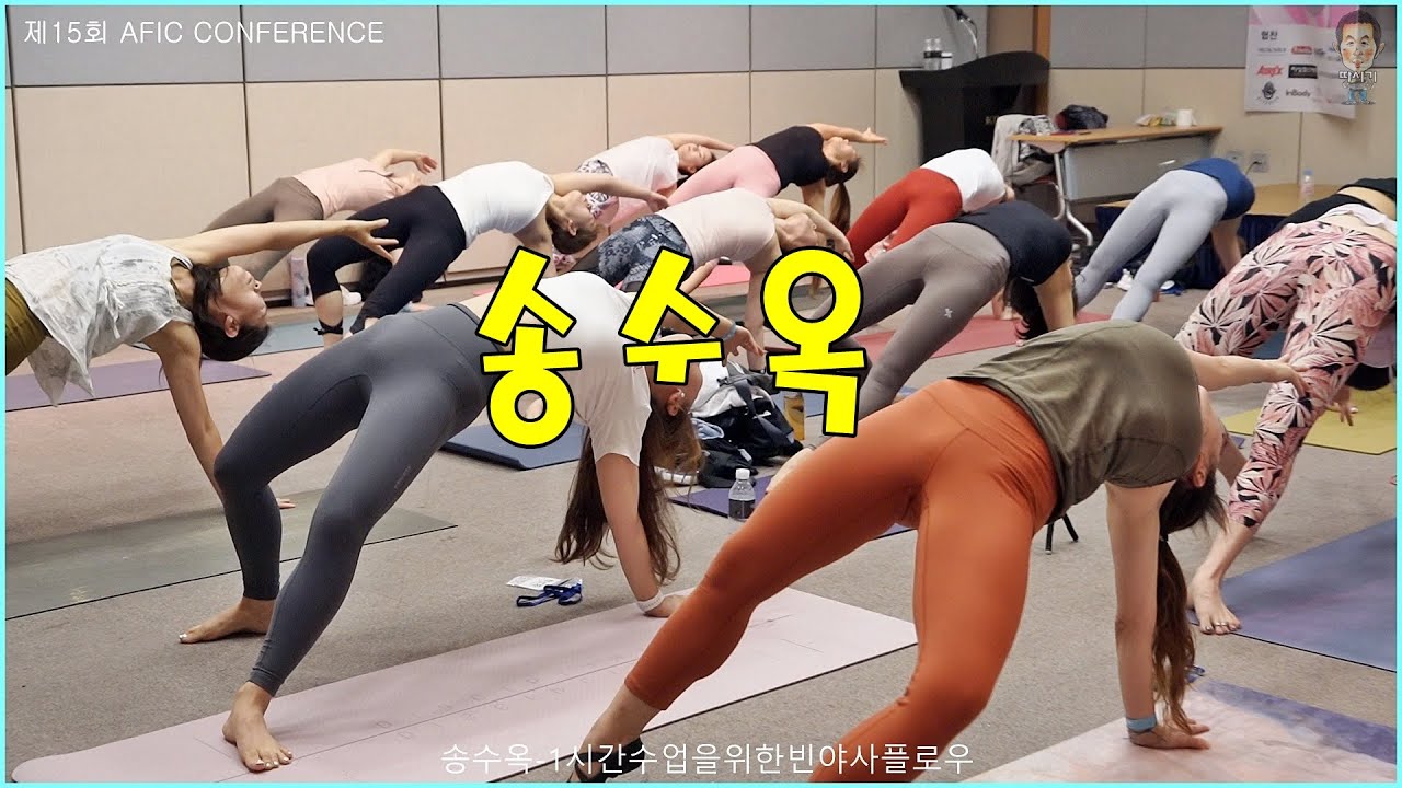 송수옥, '1시간수업을위한빈야사플로우'-제15회 에이픽 컨퍼런스