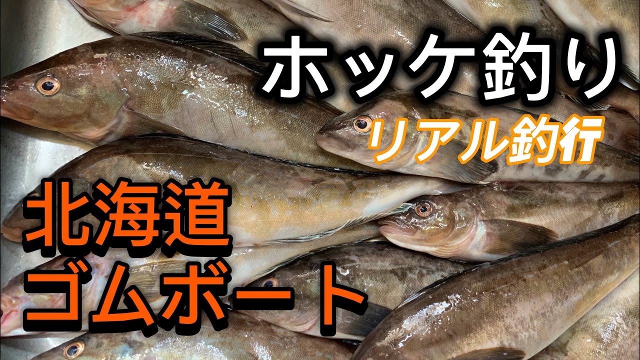 【北海道船釣り】ゴムボートでホッケ爆釣｜リアルなヒット連発