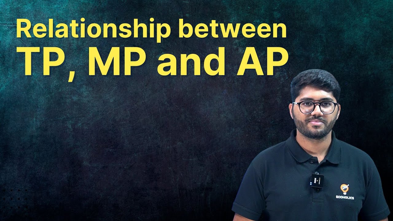 Relationship between TP, AP and MP | Production Function | Class 12 Microeconomics | Ecoholics