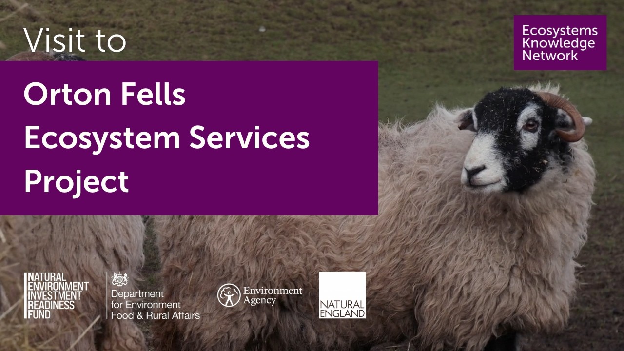 Visit to the Orton Fells Ecosystem Services Project