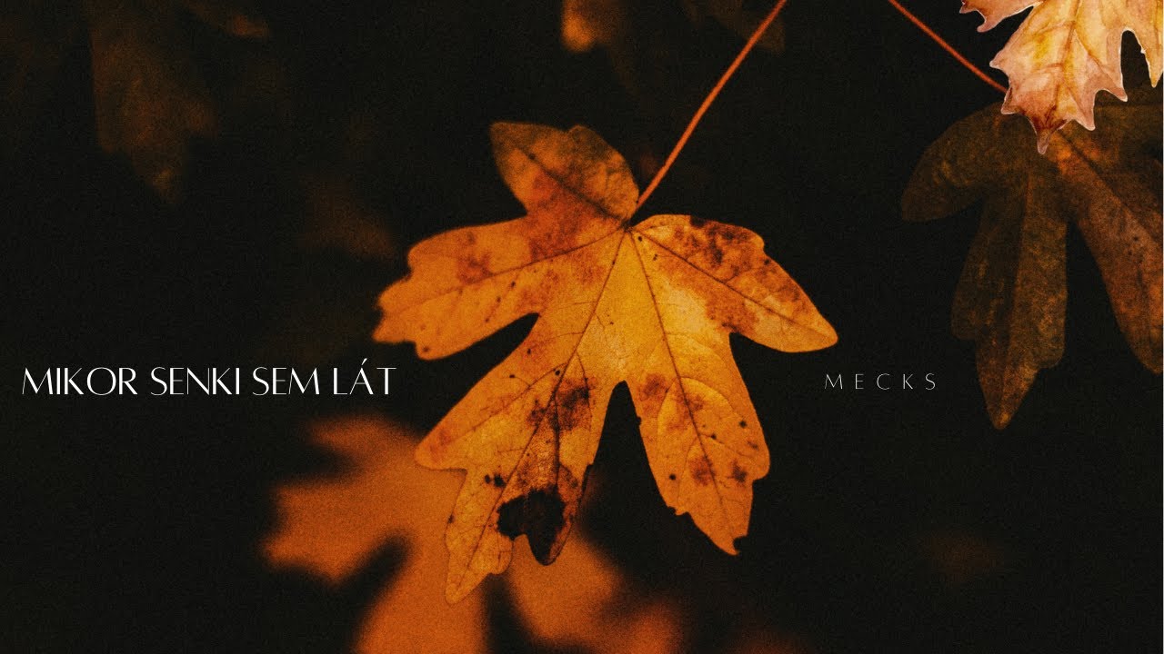 MECKS - MIKOR SENKI SEM L&Aacute;T (OFFICIAL LYRIC VIDEO)
