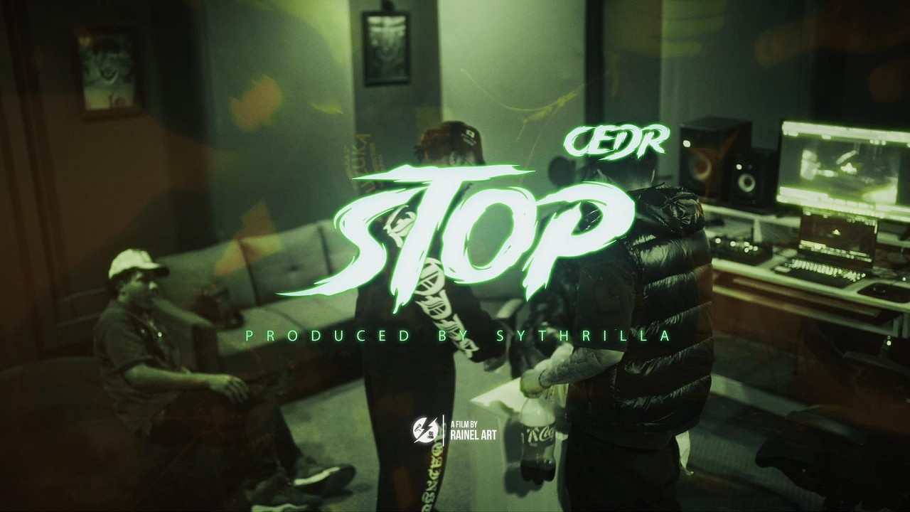 CEDR - STOP (Visualizer) | EndLine