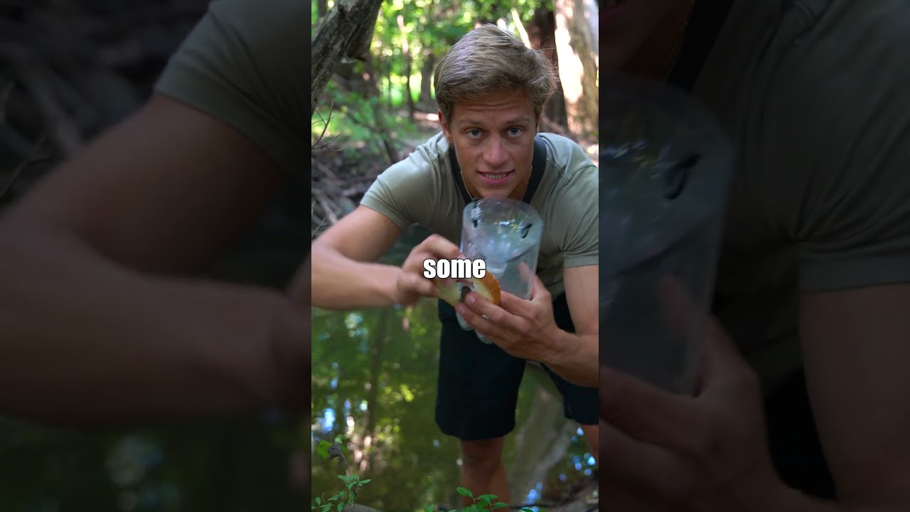 $5 minnow trap