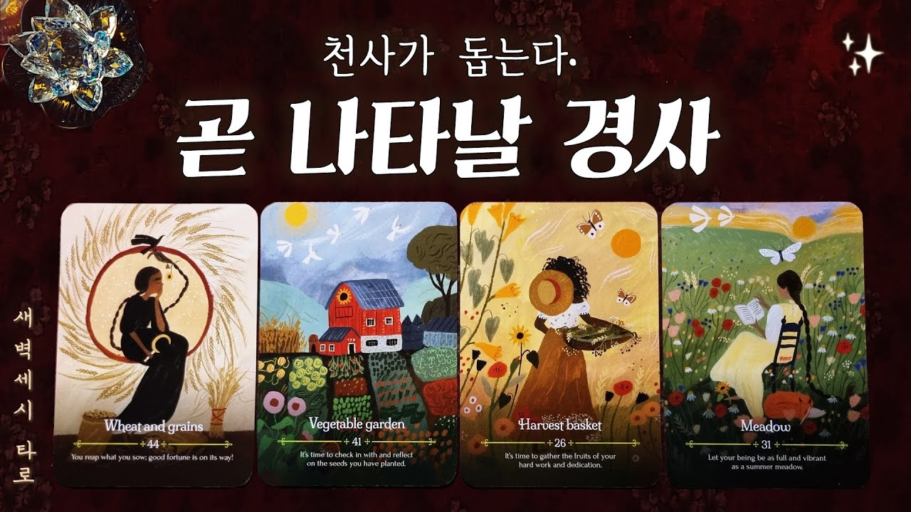[타로🔮] 곧 나타날 경사스러운 일.🔮